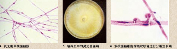 圖片關鍵詞 圖片關鍵詞