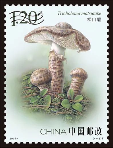 圖片關鍵詞