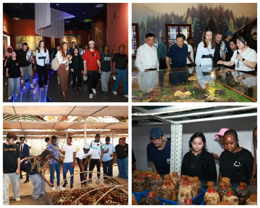 圖片關鍵詞 圖片關鍵詞